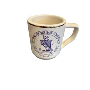 Emerson College VINTAGE Mug Boston, Massachusetts Purple and Gold